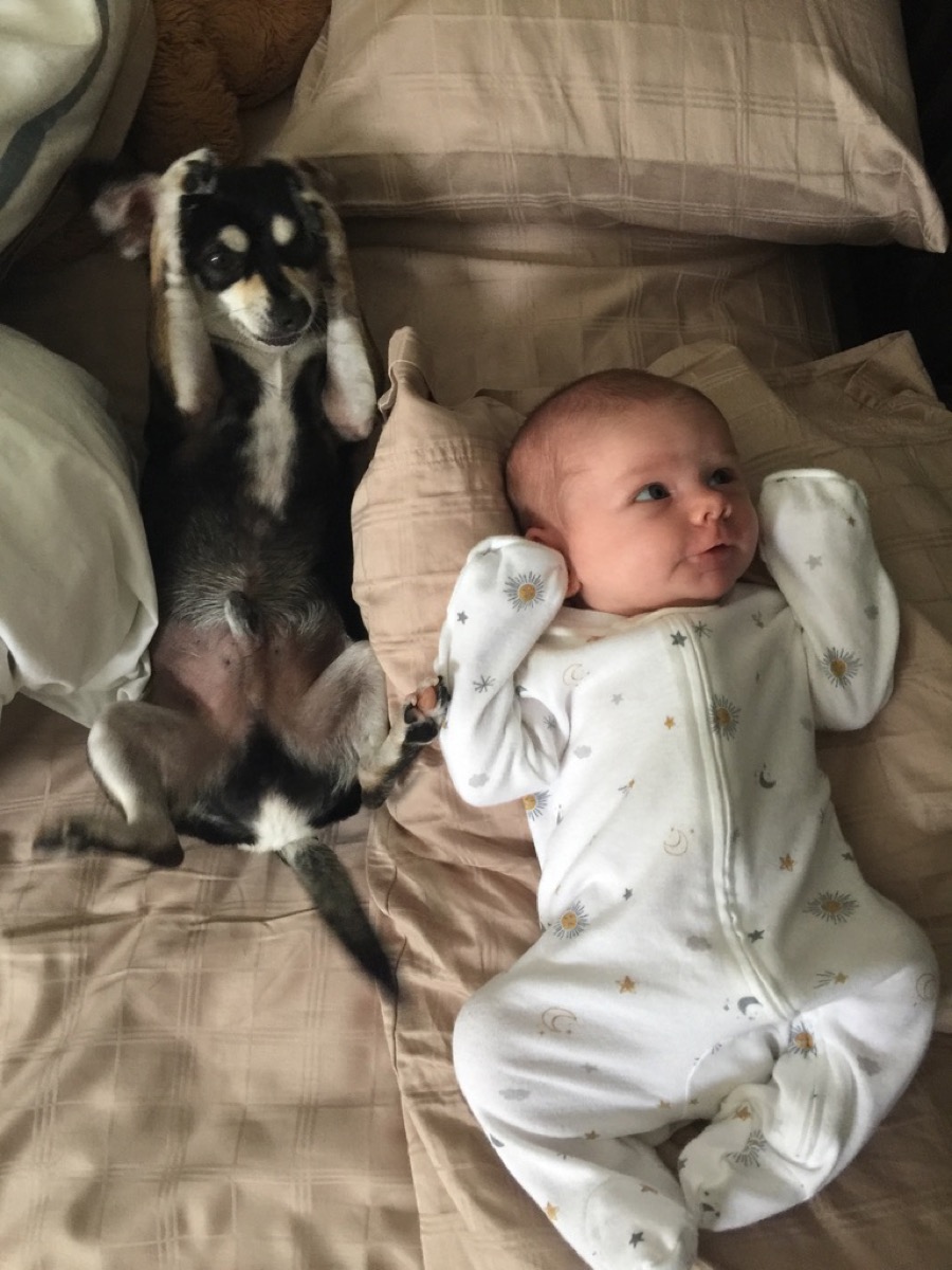 Drifter and baby Makena lying side by side on the bed